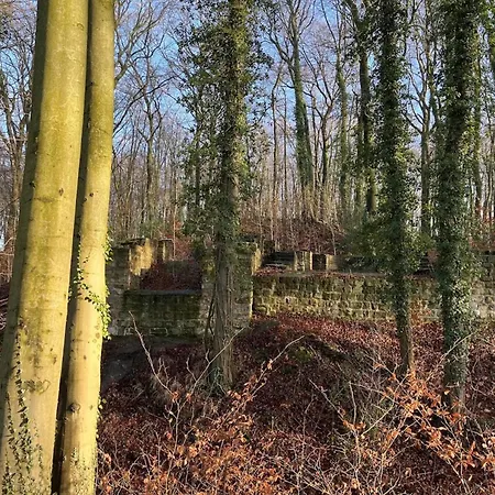 In Bissendorf, Cleaning Included
