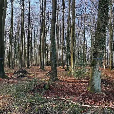 In Bissendorf, Cleaning Included